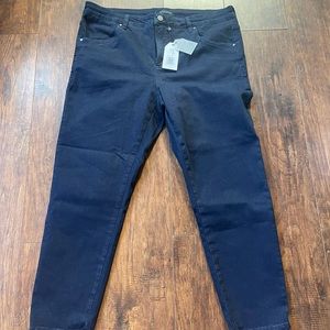 Universal Standard Seine skinny jeans